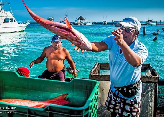 Kaam Puerto Morelos